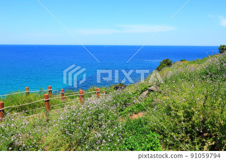 Hamdeok Seoubong Beach, Hamdeok Beach, Seoubong Peak, a white sand beach, a walk, a summer resort, 91059794