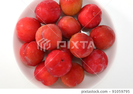 李子李子 李子李子 91059795