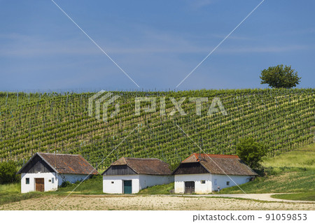 Traditional wine cellars street in Diepolz near Mailberg, Lower Austria, Austria 91059853