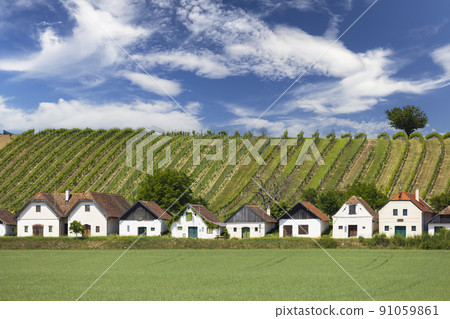 Traditional wine cellars street in Diepolz near Mailberg, Lower Austria, Austria 91059861