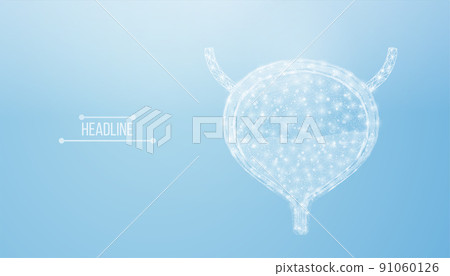 Human bladder. Design element for medical concept, bladder cancer, cystitis, human excretory system. Wireframe low poly style. Abstract vector illustration on blue background Human bladder. Design element for medical concept, bladder cancer, cystitis, human excretory system. Wireframe low poly style. Abstract vector illustration on blue background 91060126