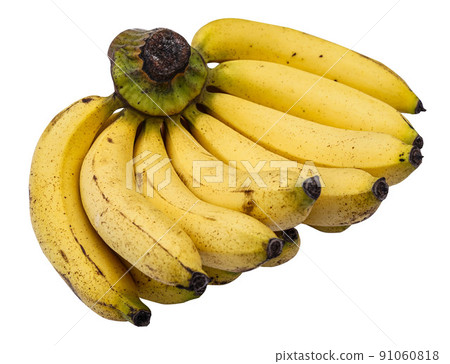 fresh yellow banana isolated on white background. fresh yellow banana isolated on white background. 91060818