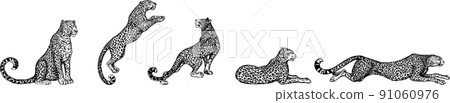 Set of hand drawn sketch style leopards isolated on white background. Vector illustration. Set of hand drawn sketch style leopards isolated on white background. Vector illustration. 91060976