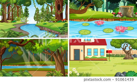 Nature scene with many trees and pond Nature scene with many trees and pond 91061439
