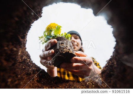 Underground view. Gardener planting flower. Man in garden. 91061516