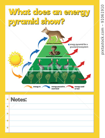 Science Experiment Log Worksheet Science Experiment Log Worksheet 91061910