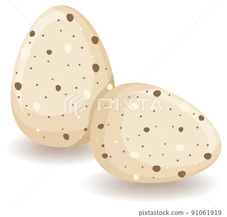 Two round eggs in brown Two round eggs in brown 91061919