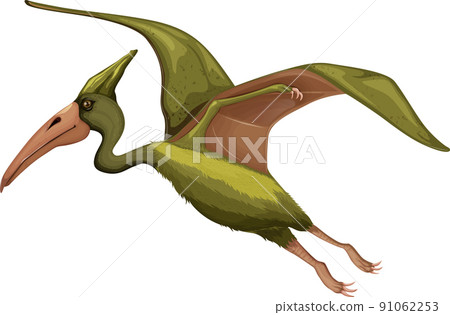 Pteranodon dinosaur on white background Pteranodon dinosaur on white background 91062253
