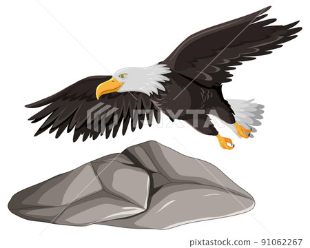 Eagle flying over gray rock 91062267