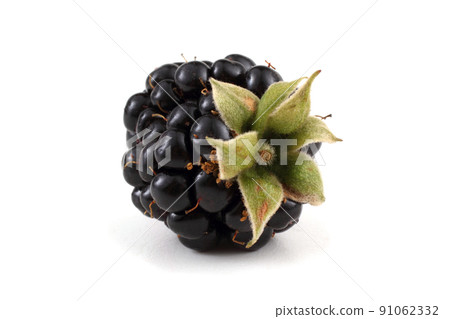 Organic blackberry Organic blackberry 91062332