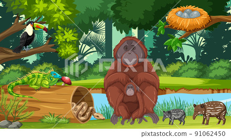 Wild animals in the jungle 91062450