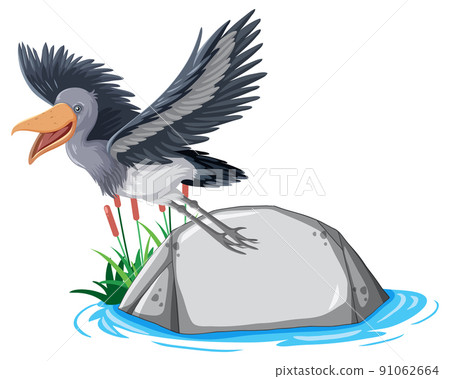 Heron bird standing on stone on white background 91062664