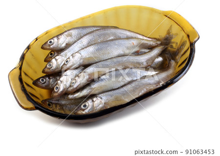 Smelt fish 91063453