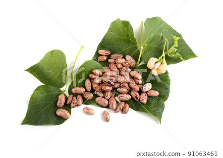 Beans and leaves Beans and leaves 91063461