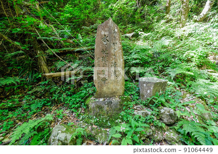 東京 檜原村 夏季 細澤瀑布 91064449