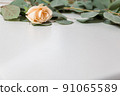 rose flowers and eucalyptus leaves on white wooden background 91065589