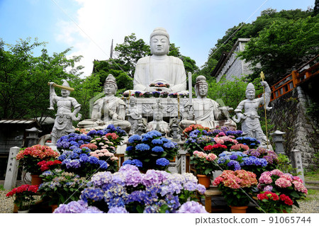 奈良縣坪坂寺 奈良縣坪坂寺 91065744