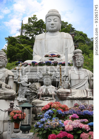 奈良縣坪坂寺 91065745