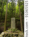 森林中的石碑 91065925