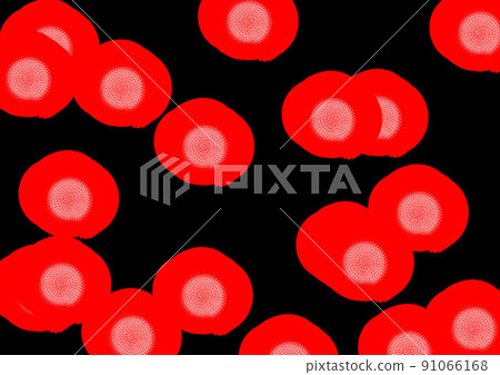 Flowers Flowers 91066168