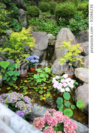 奈良縣岡寺市 奈良縣岡寺市 91066236