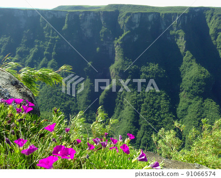 huge canyon valley on the south of Brazil. Rio Grande do Sul state huge canyon valley on the south of Brazil. Rio Grande do Sul state 91066574