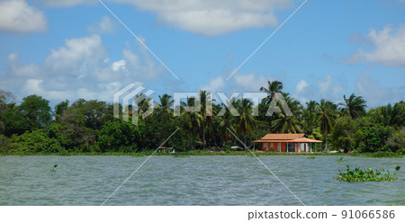 Green waters and riverside of Sao Francisco river, in northeast Brazil Green waters and riverside of Sao Francisco river, in northeast Brazil 91066586