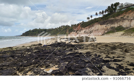 orange cliffs in Tabatinga Beach. Conde, Paraiba, Brazil orange cliffs in Tabatinga Beach. Conde, Paraiba, Brazil 91066756