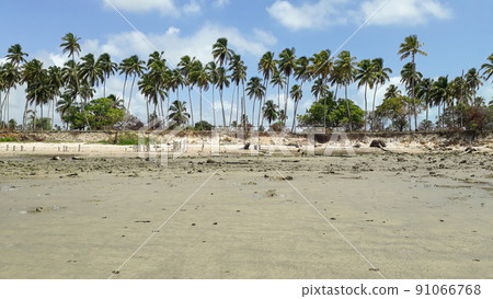Paripueira beach in Alagoas, Brazil. blue clear water on the brasilian coast Paripueira beach in Alagoas, Brazil. blue clear water on the brasilian coast 91066768