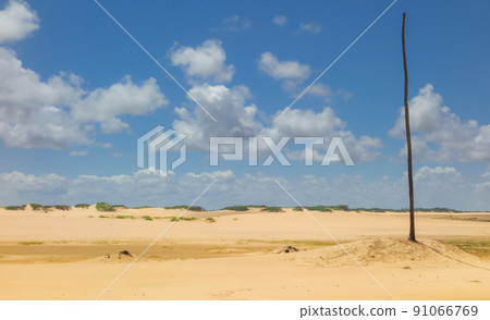 Palm trees and sand dunes at Sao Francisco river mouth, in Alagoas, Brazil 91066769