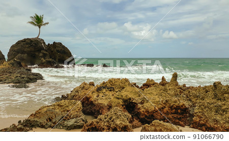 panoramic of famous Tambaba Beach in Paraiba, Brazil panoramic of famous Tambaba Beach in Paraiba, Brazil 91066790