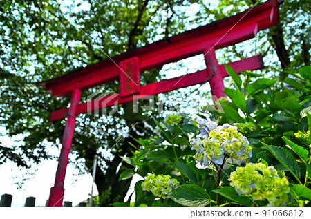 群馬縣伊勢崎市下淵大黑神社 91066812