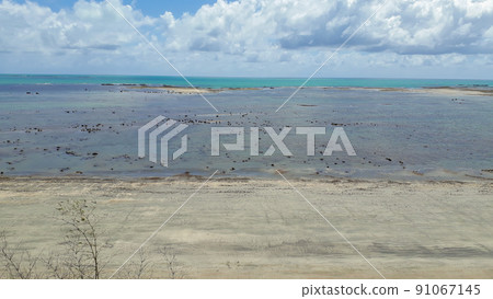 natural sea pools of the coral reefs barrier in Maragogi, Alagoas, Brazil natural sea pools of the coral reefs barrier in Maragogi, Alagoas, Brazil 91067145