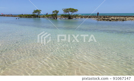 Carneiros beach in Pernambuco, Brazil. paradisiac beach with blue sky and crystal water Carneiros beach in Pernambuco, Brazil. paradisiac beach with blue sky and crystal water 91067147