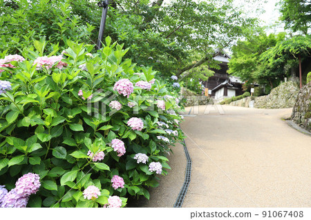 奈良縣長谷寺 91067408