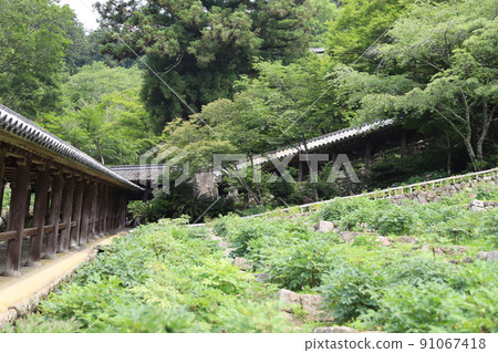 Hase-dera, Nara Prefecture Hase-dera, Nara Prefecture 91067418
