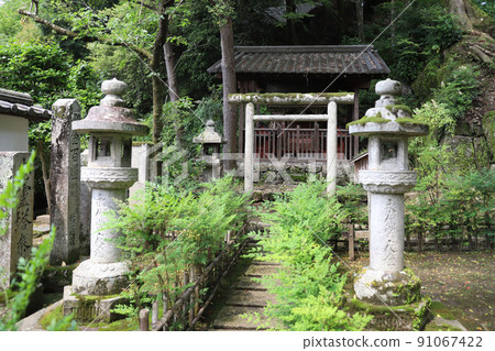 奈良縣長谷寺 91067422