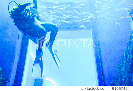 Scuba diving aquarium [image of marine leisure] 91067454