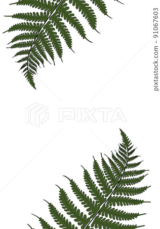 Creative tropical green leaves layout. Nature spring concept. Pattern Creative tropical green leaves layout. Nature spring concept. Pattern 91067603