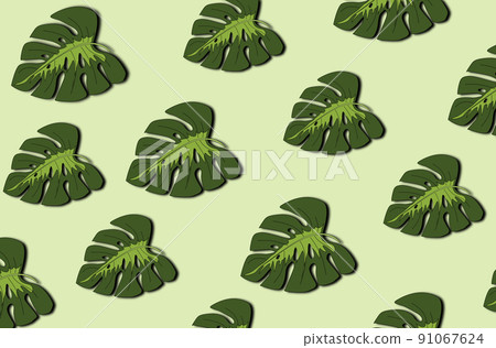 Tropical leaves pattern. Green leaf monstera seamless. Tropical leaves pattern. Green leaf monstera seamless. 91067624