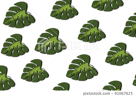 Tropical leaves pattern. Green leaf monstera seamless. Tropical leaves pattern. Green leaf monstera seamless. 91067625