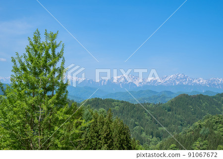 從長野市中條眺望北阿爾卑斯[初夏] 91067672