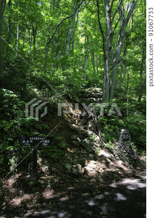 Tanigawa沙丘西黑嶺山口 91067733