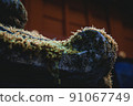 Moss on a traditional temple building 91067749