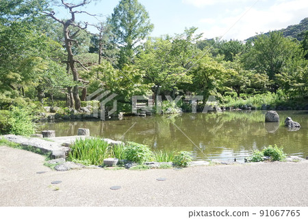 Along the gourd pond in Maruyama Park, Kyoto City 91067765