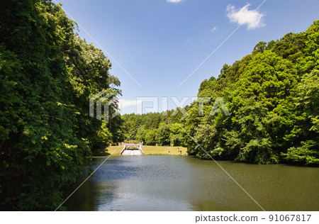 Fresh green and lake 91067817