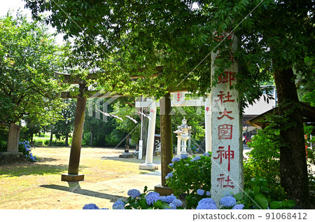 群馬縣伊勢崎市下淵大黑神社 91068412