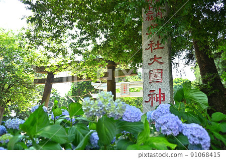 群馬縣伊勢崎市下淵大黑神社 91068415