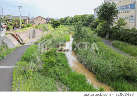 Akiha Ward, Niigata City Summer, overlooking the Niitsu River from Shinmachi Ohashi 91068450