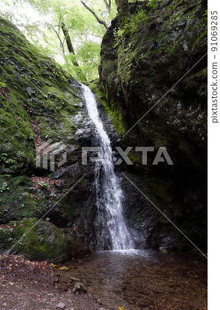 綾廣瀑布（奧多摩） 91069285